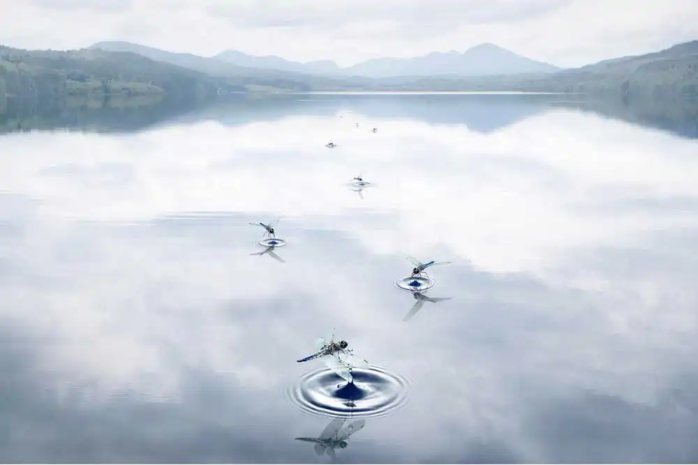 Chris Clor | Cinematic imagery