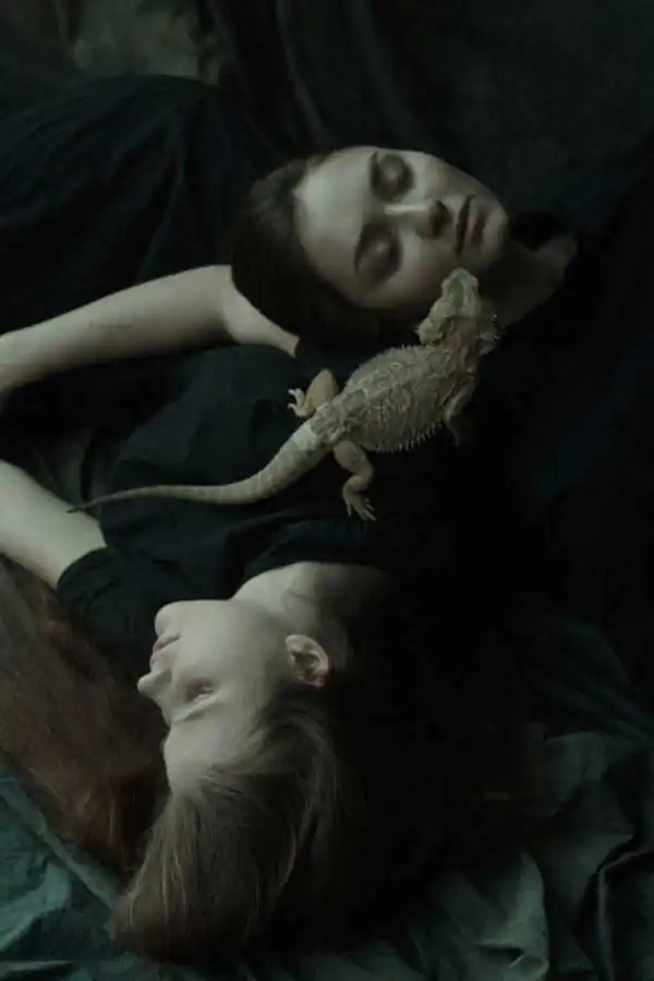 Through the noise by Daria Amaranth