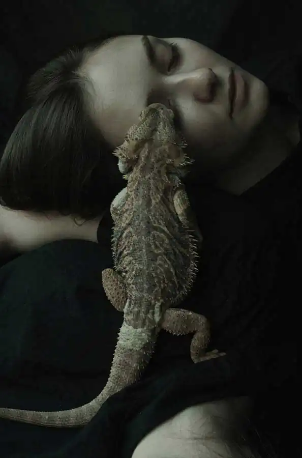 Through the noise | Daria Amaranth