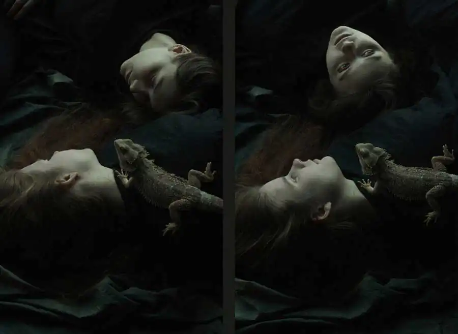 Through the noise | Daria Amaranth