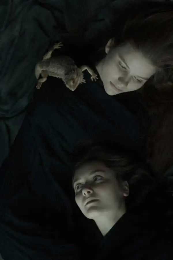 Through the noise | Daria Amaranth