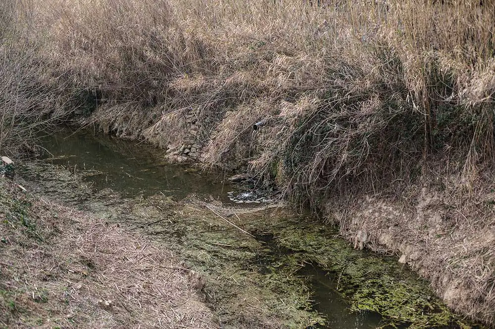 Apache Palace - Fragments et projections