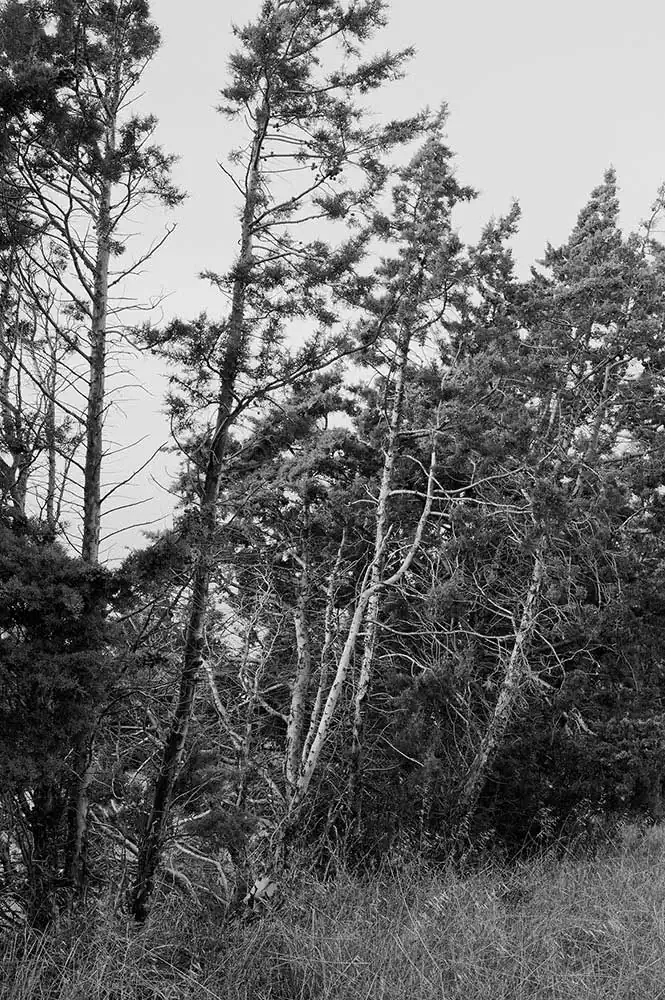 Apache Palace - Fragments et projections