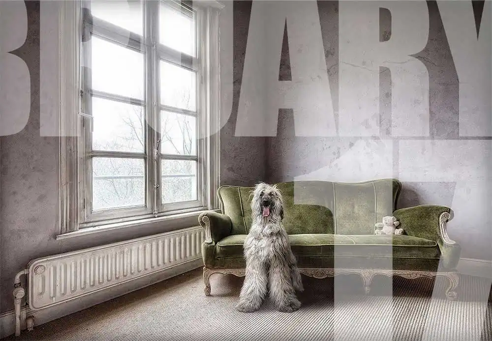 February 2017 : Most Popular Photographers