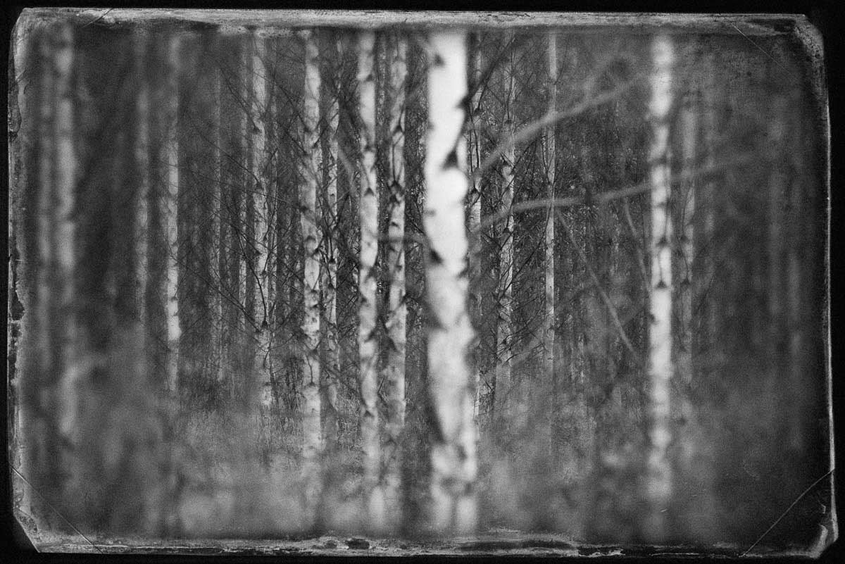 Passages by Mikael Ackelman
