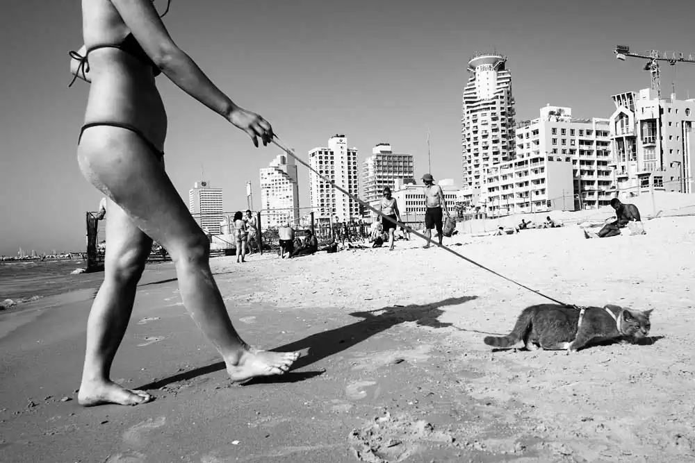 Roy Rozanski ; Street Photographer