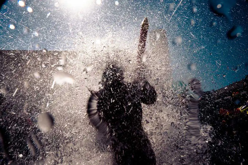 Roy_Rozanski_Color_00005