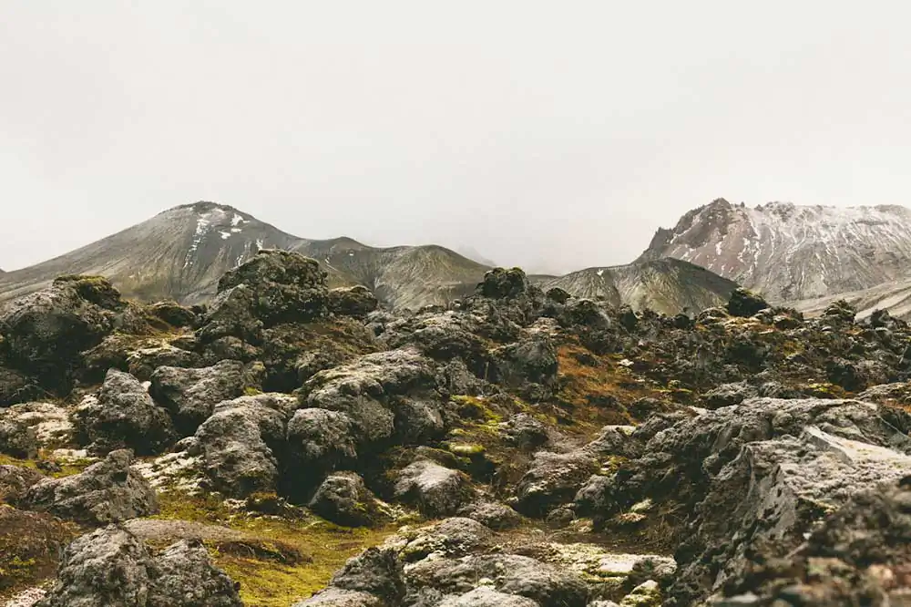 Nature is Ancient by Meg Wachter