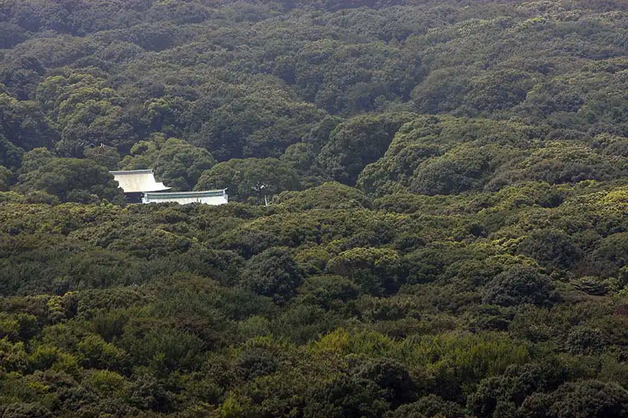 Tokyo Series | Chris Becker