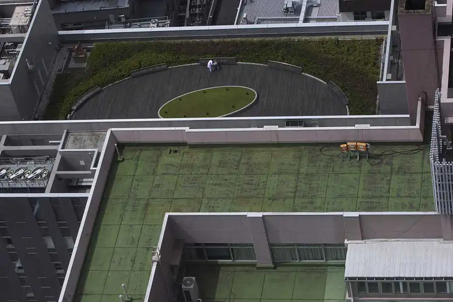 Tokyo Series | Chris Becker