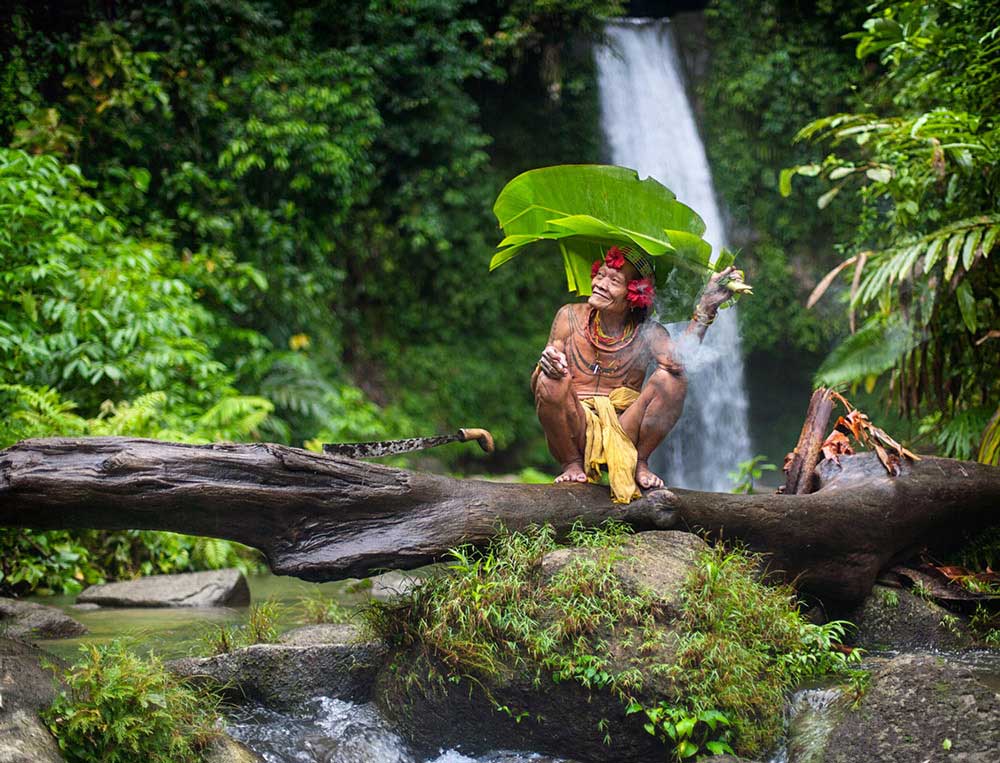 Keepers of the Rain Forest | Aga Szydlik