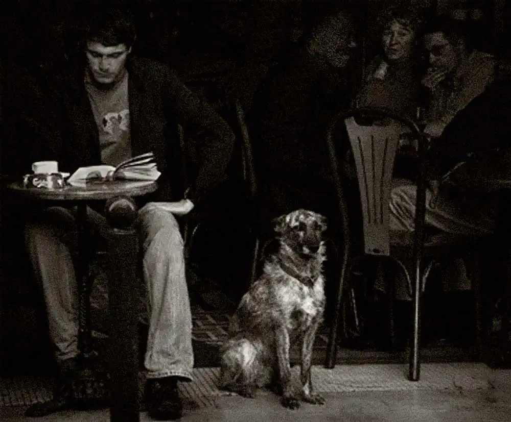 The joy of life in Paris by Robb Johnson