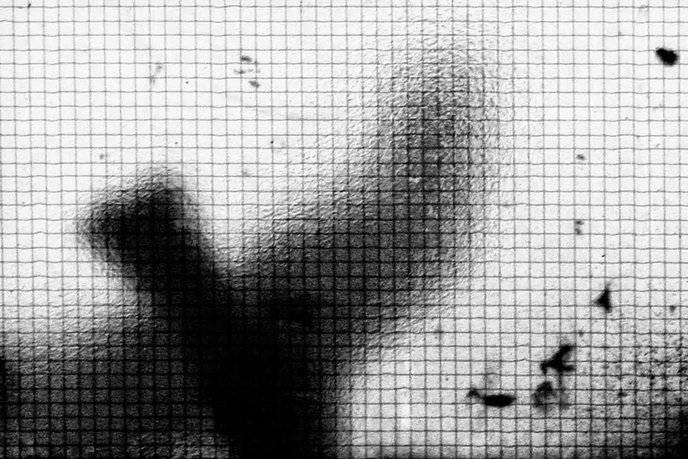 In Parentheses by Philip LePage