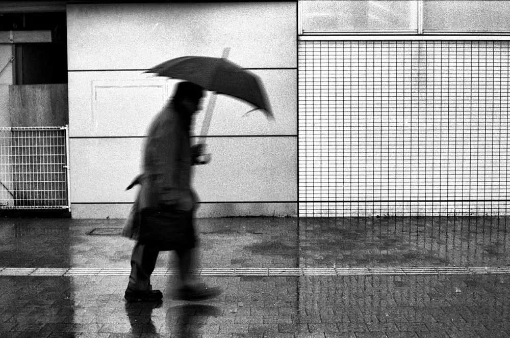 In Parentheses by Philip LePage