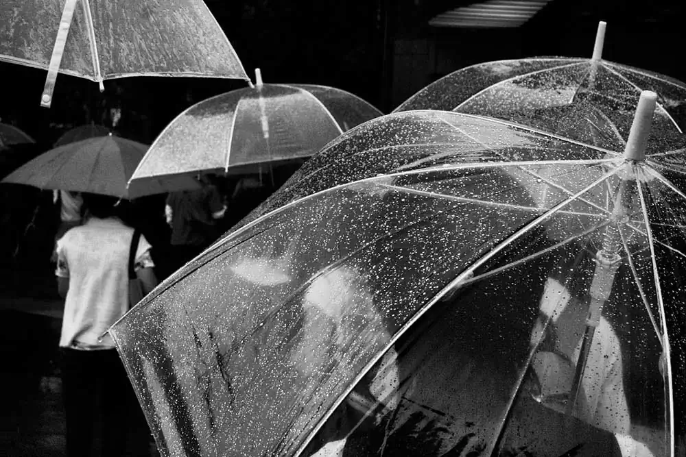 In Parentheses | Philip LePage