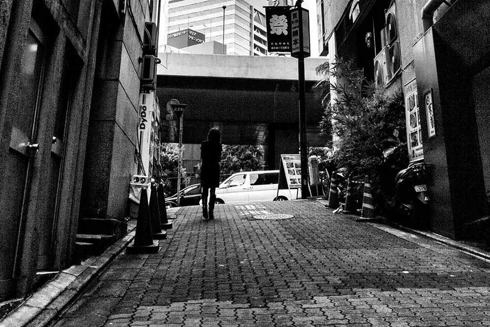 In Parentheses | Philip LePage