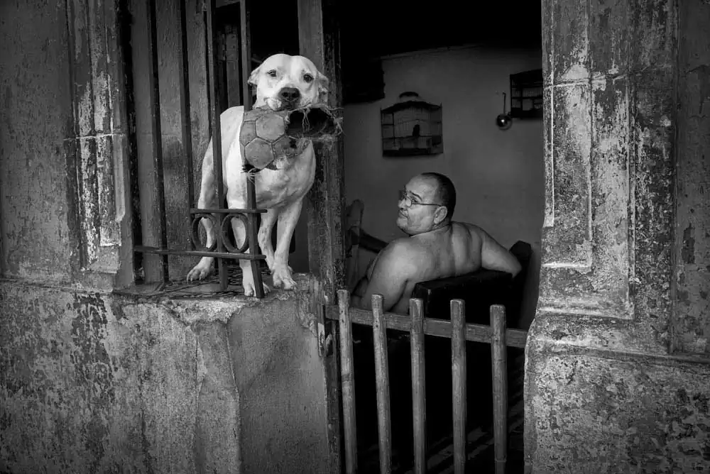 Havana by David Saxe