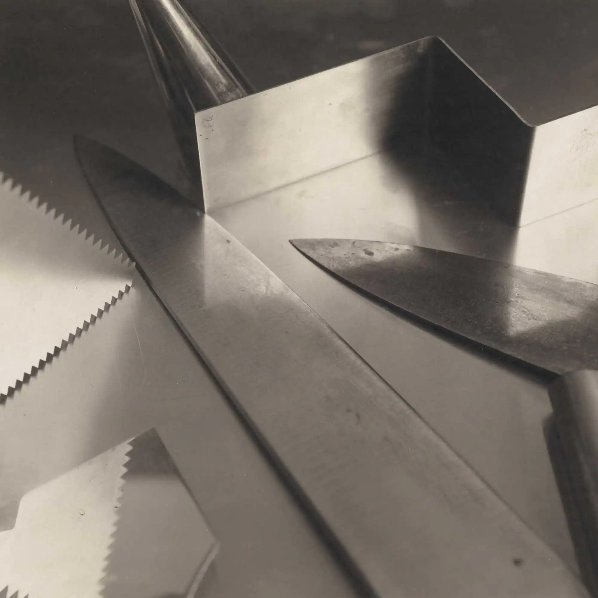 The Shape of Things: Photographs from Robert B. Menschel