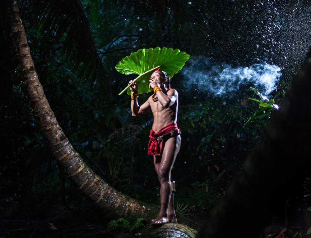 Keepers of the Rain Forest | Aga Szydlik