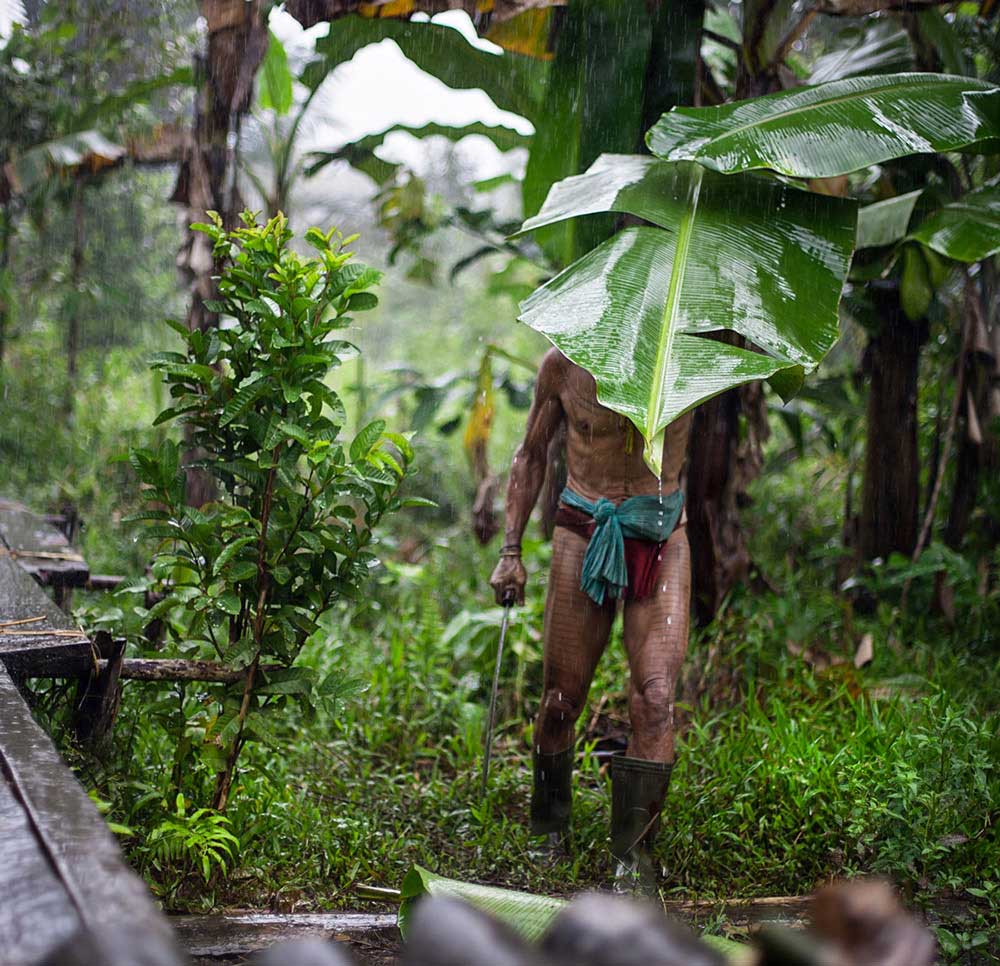 Keepers of the Rain Forest | Aga Szydlik