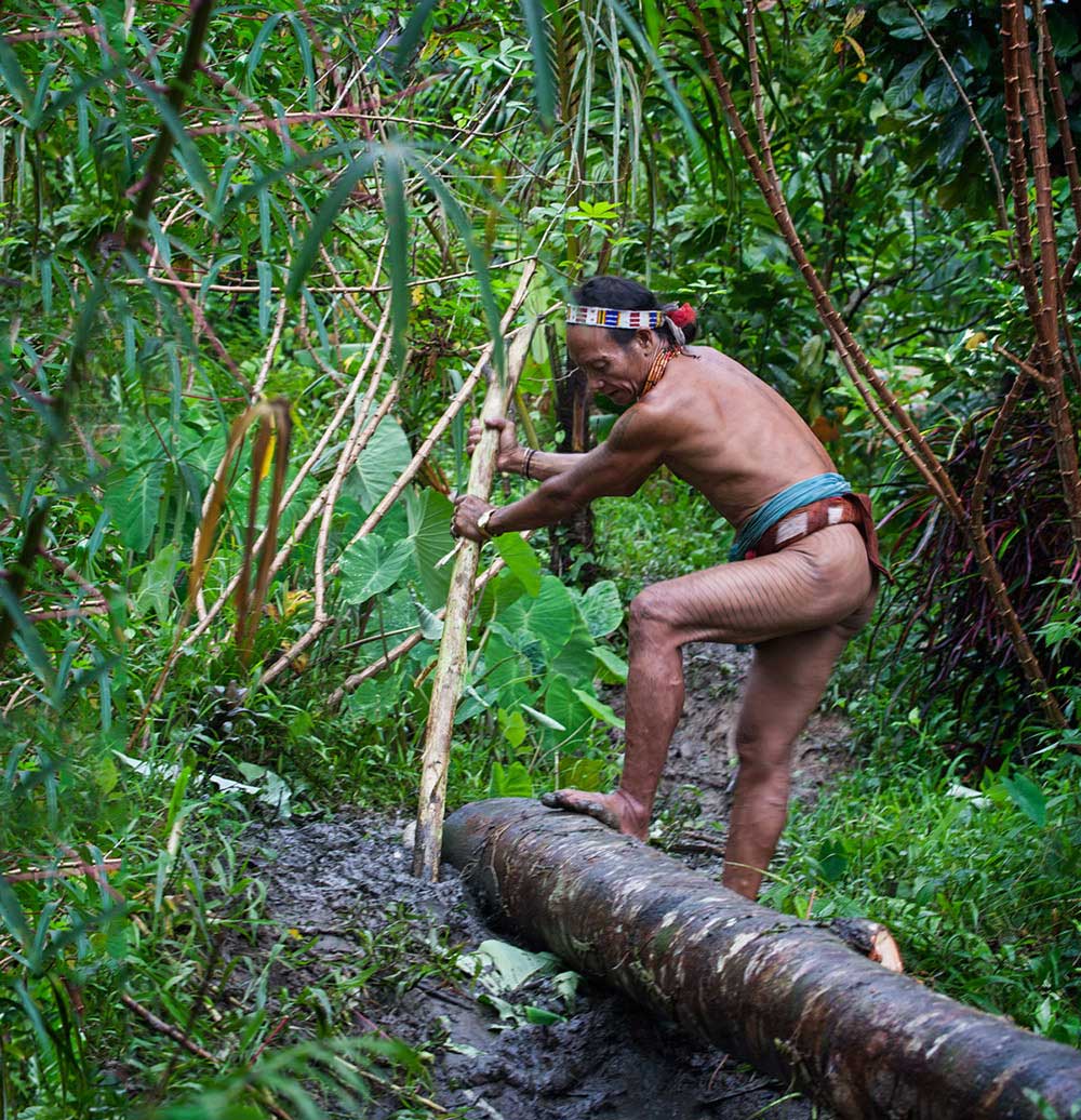 Keepers of the Rain Forest | Aga Szydlik