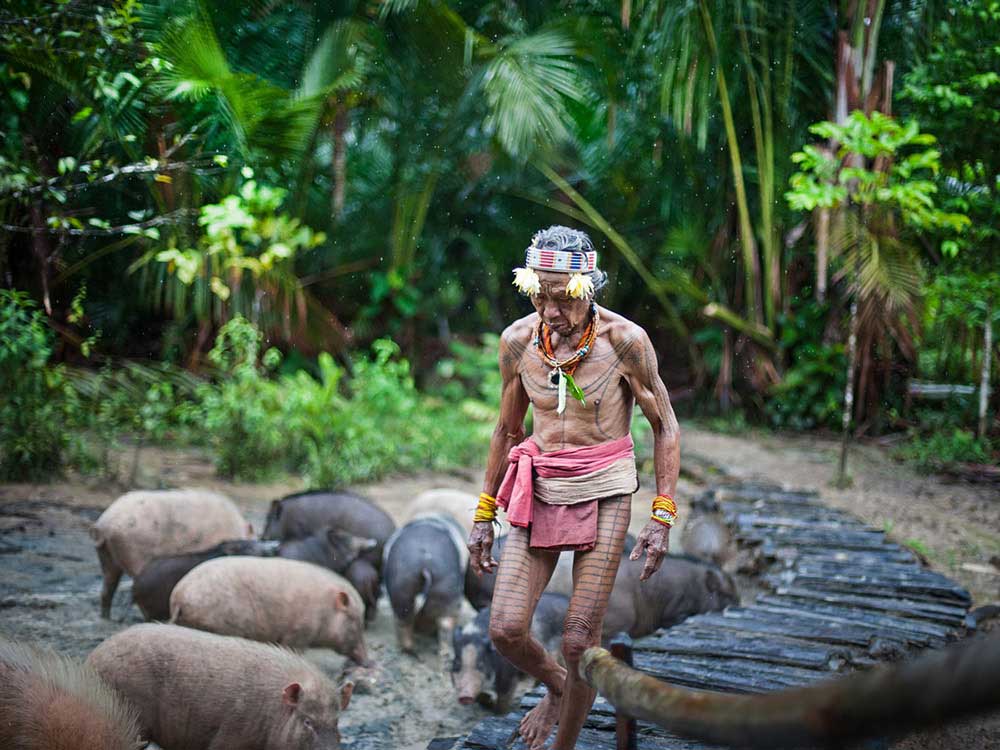 Keepers of the Rain Forest | Aga Szydlik