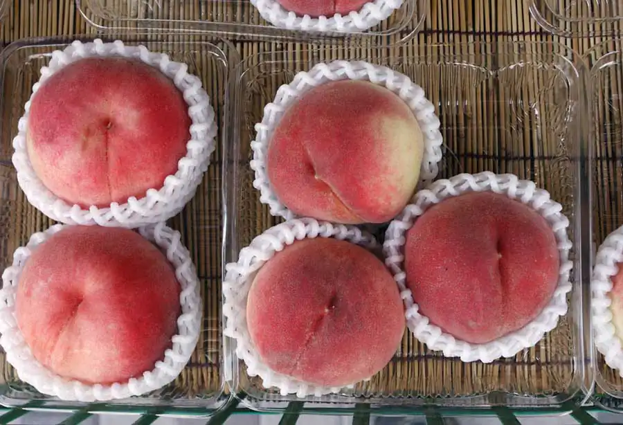 Tokyo Series | Chris Becker