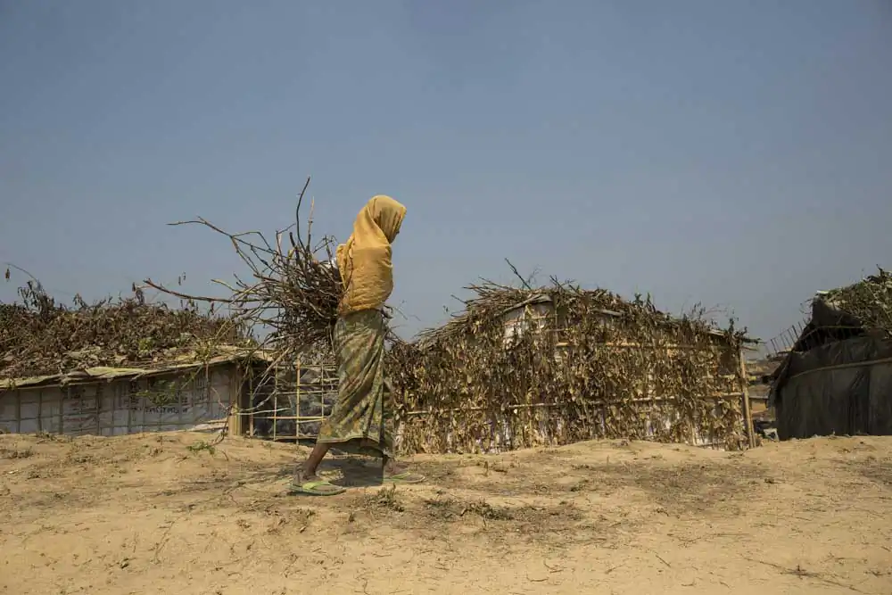 A Rohingya woman returns to her makeshift home after collecting firewood.