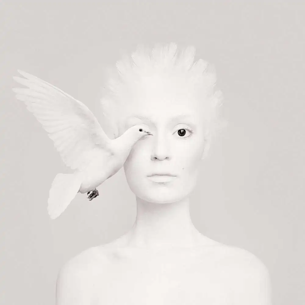 Animeyed by Flora Borsi