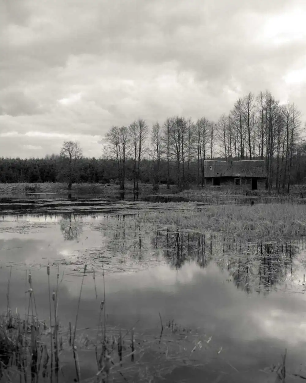 Ex-Voto | Alys Tomlinson