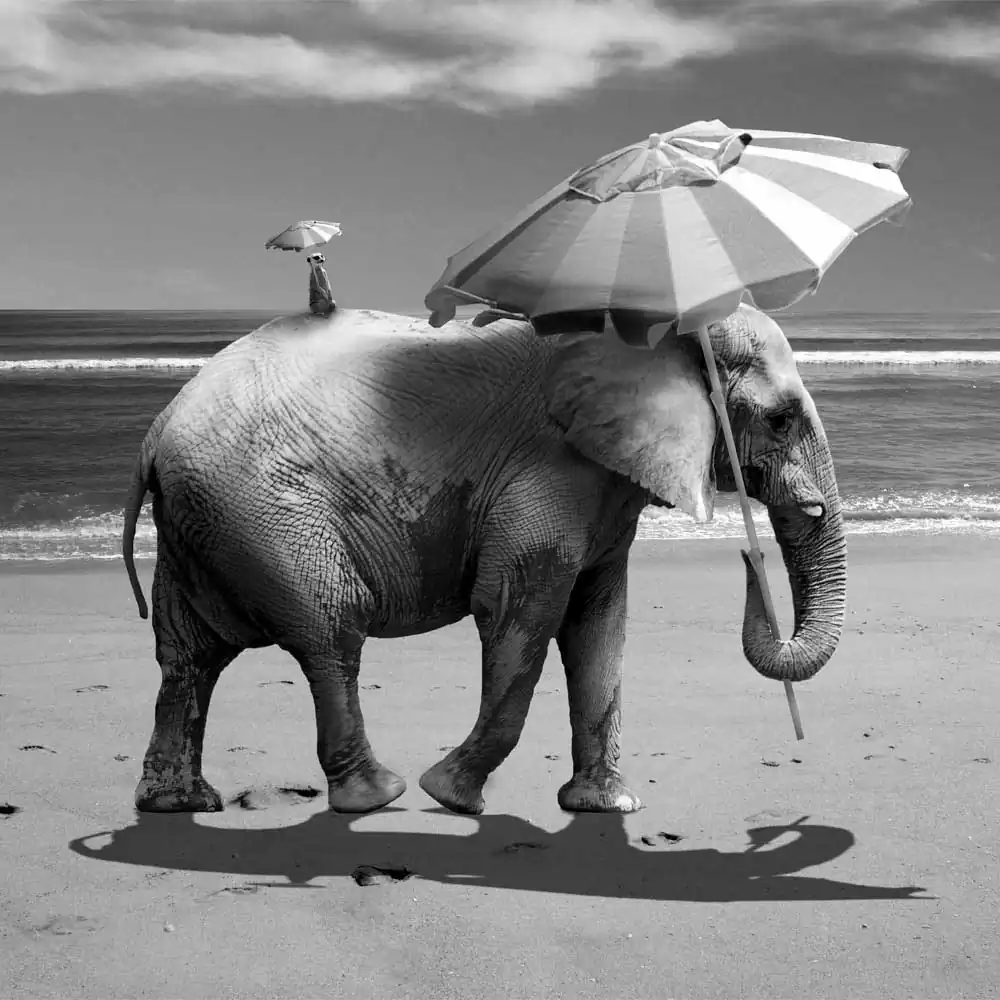 Surrealism in Black & White by Marc Ward