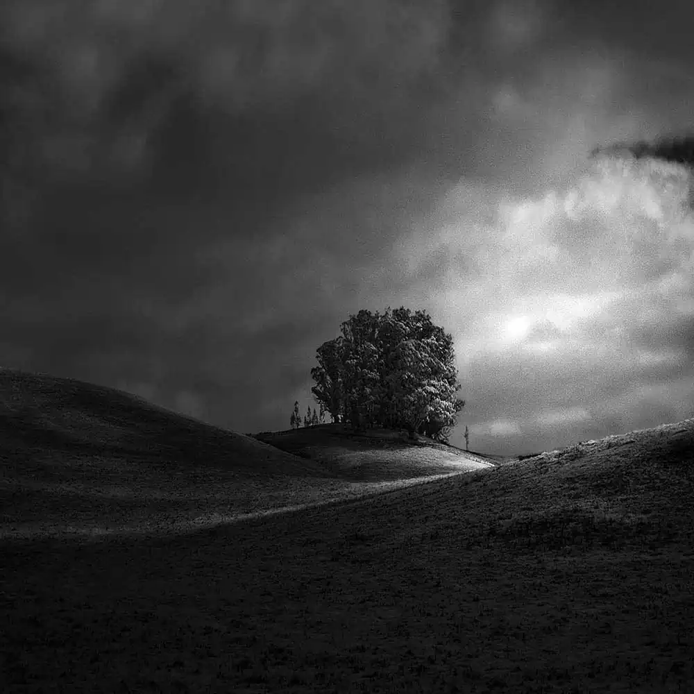 Infrared Silence Series | Nathan Wirth