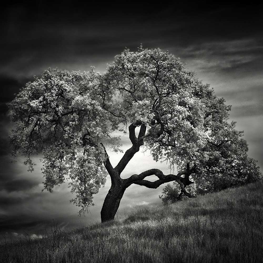 Infrared Silence Series | Nathan Wirth