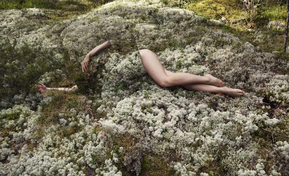 Reflecting on Nature | Loreal Prystaj