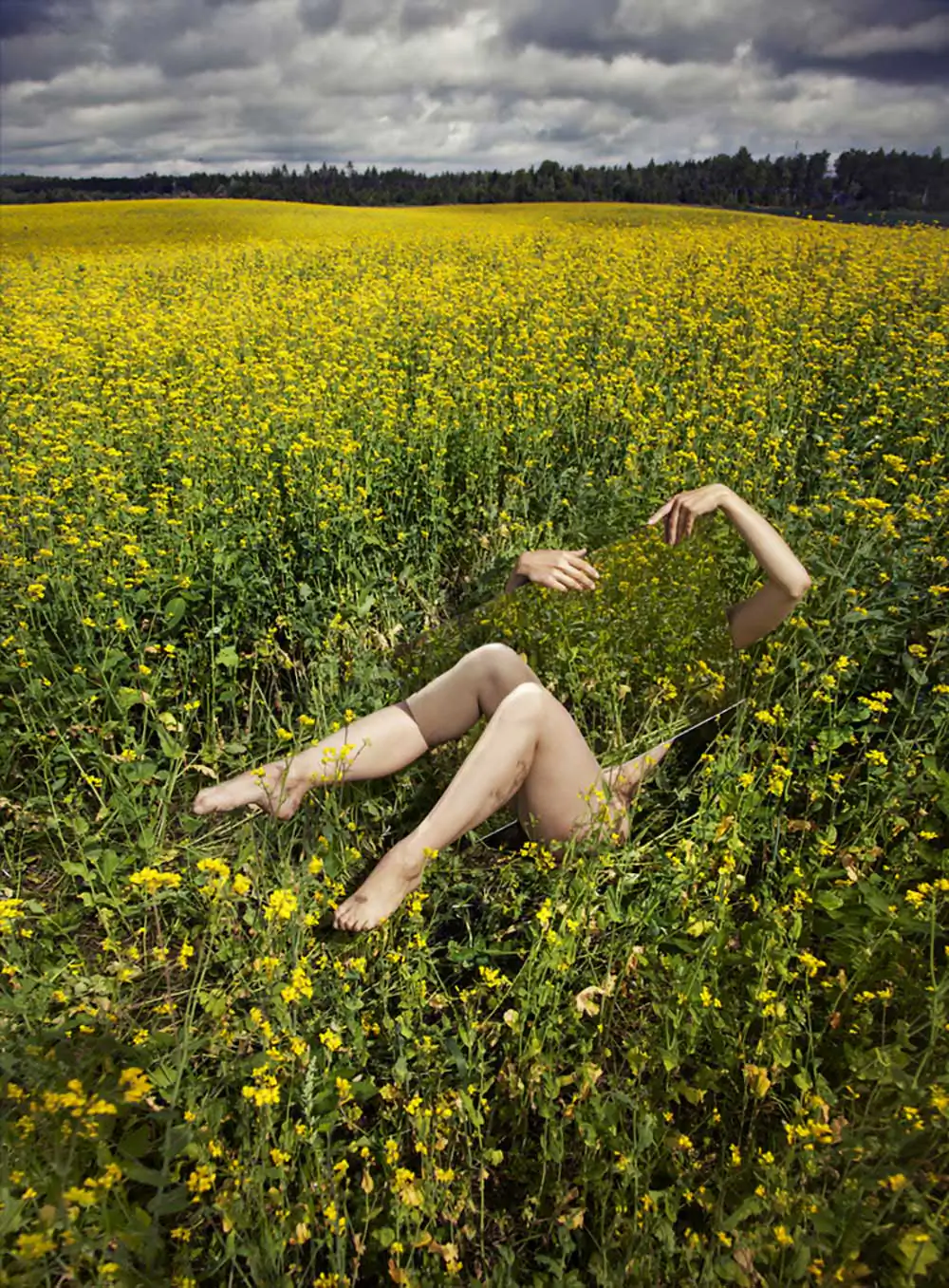 Reflecting on Nature | Loreal Prystaj