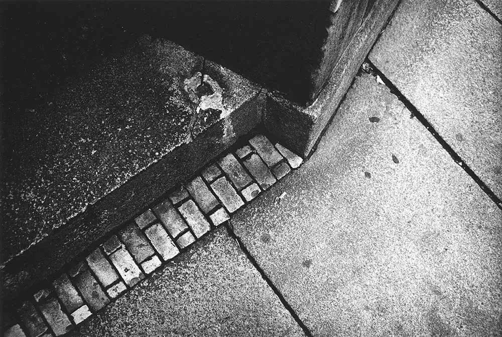 The Trodden Memory by Roberto A. Cabrera