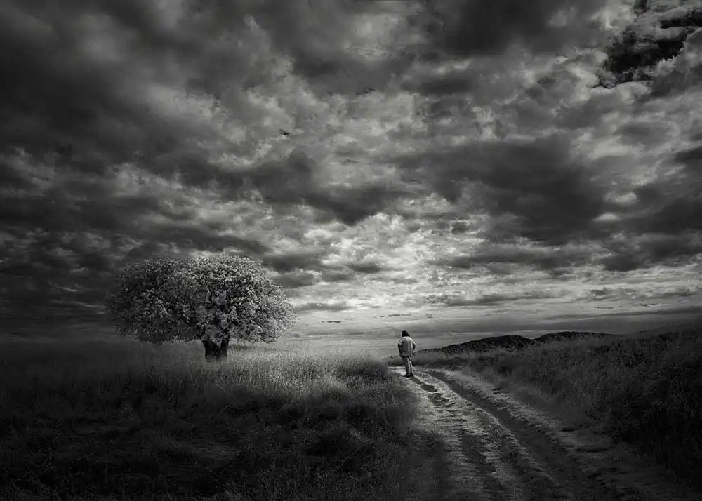 Infrared Silence Series | Nathan Wirth