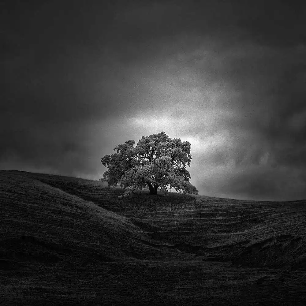 Infrared Silence Series | Nathan Wirth