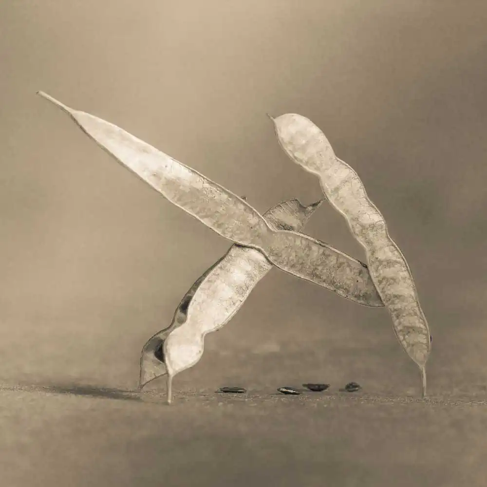 T_Bradley_Protectors10