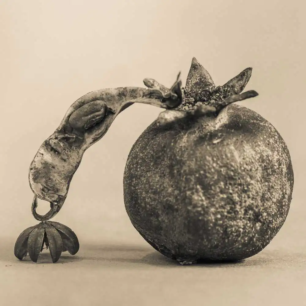 T_Bradley_Protectors11