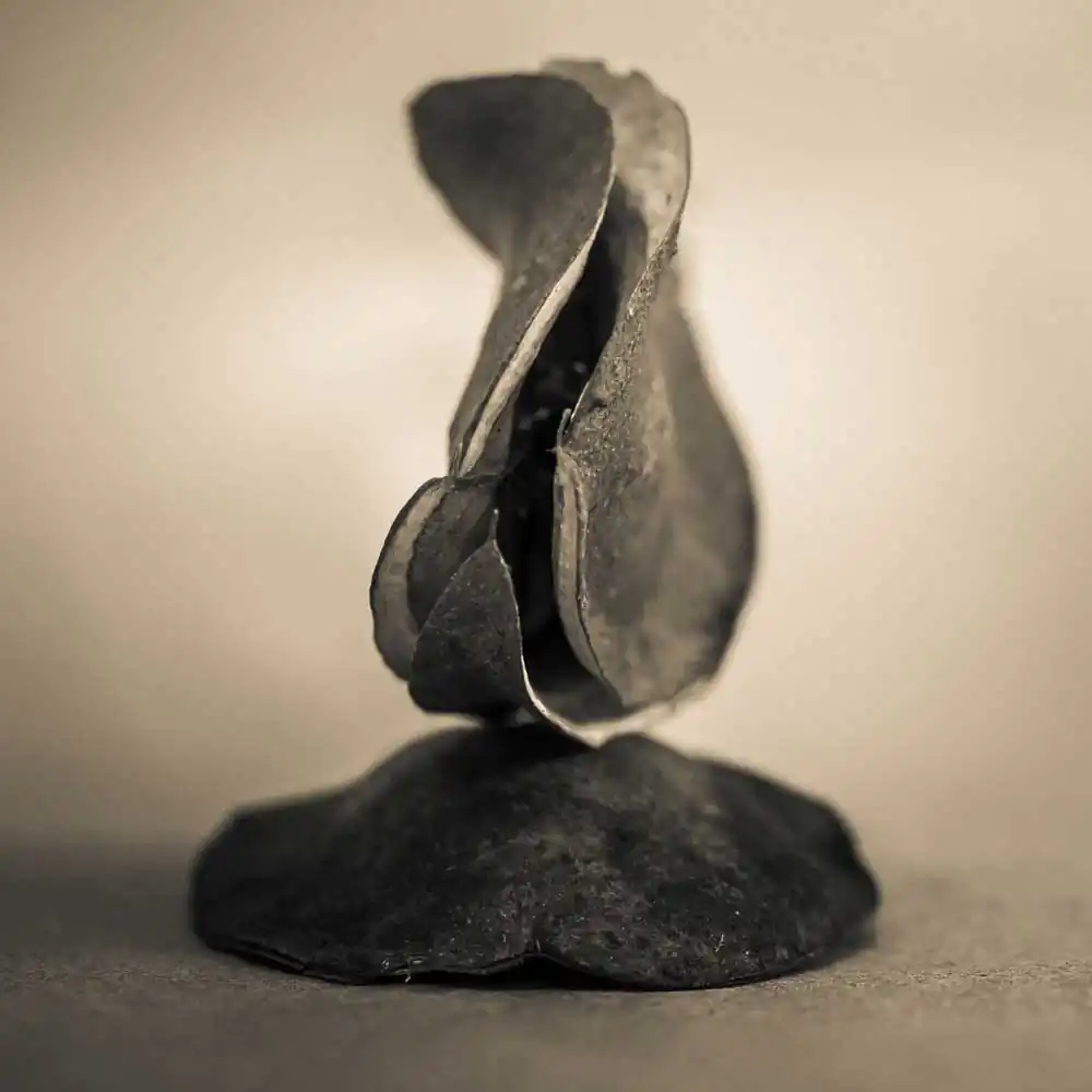 T_Bradley_Protectors12