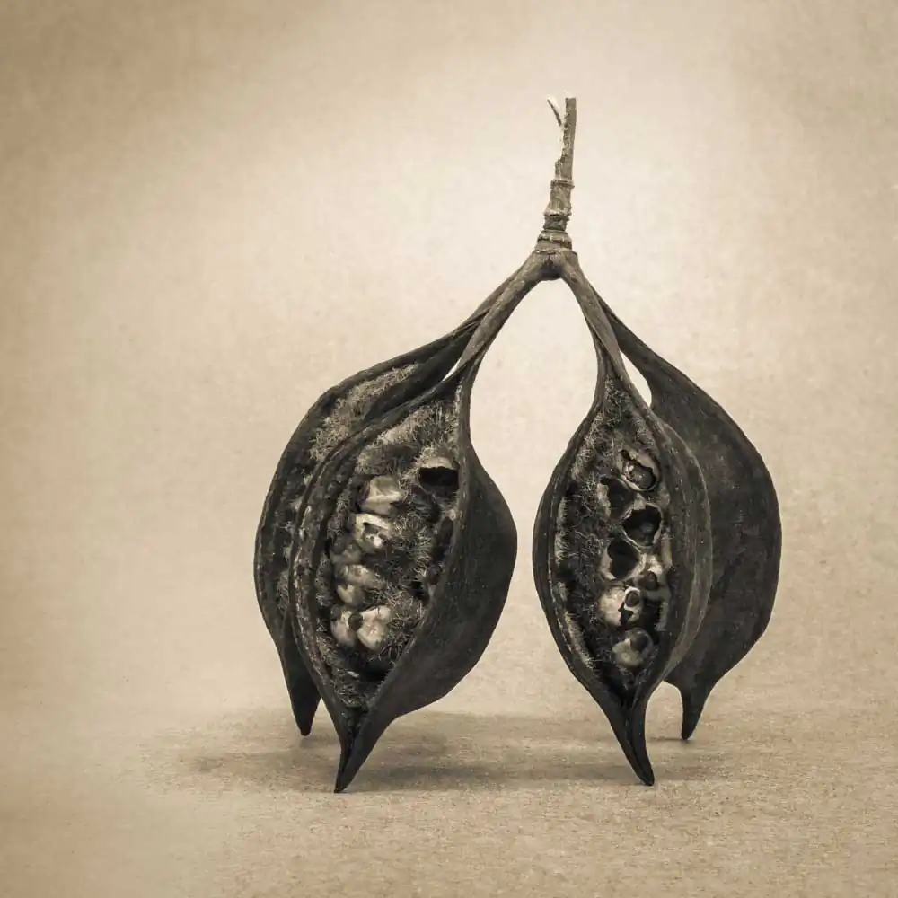 T_Bradley_Protectors13