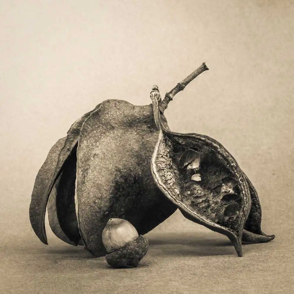 T_Bradley_Protectors14