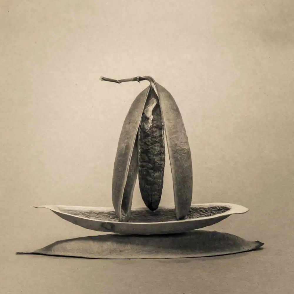 T_Bradley_Protectors15