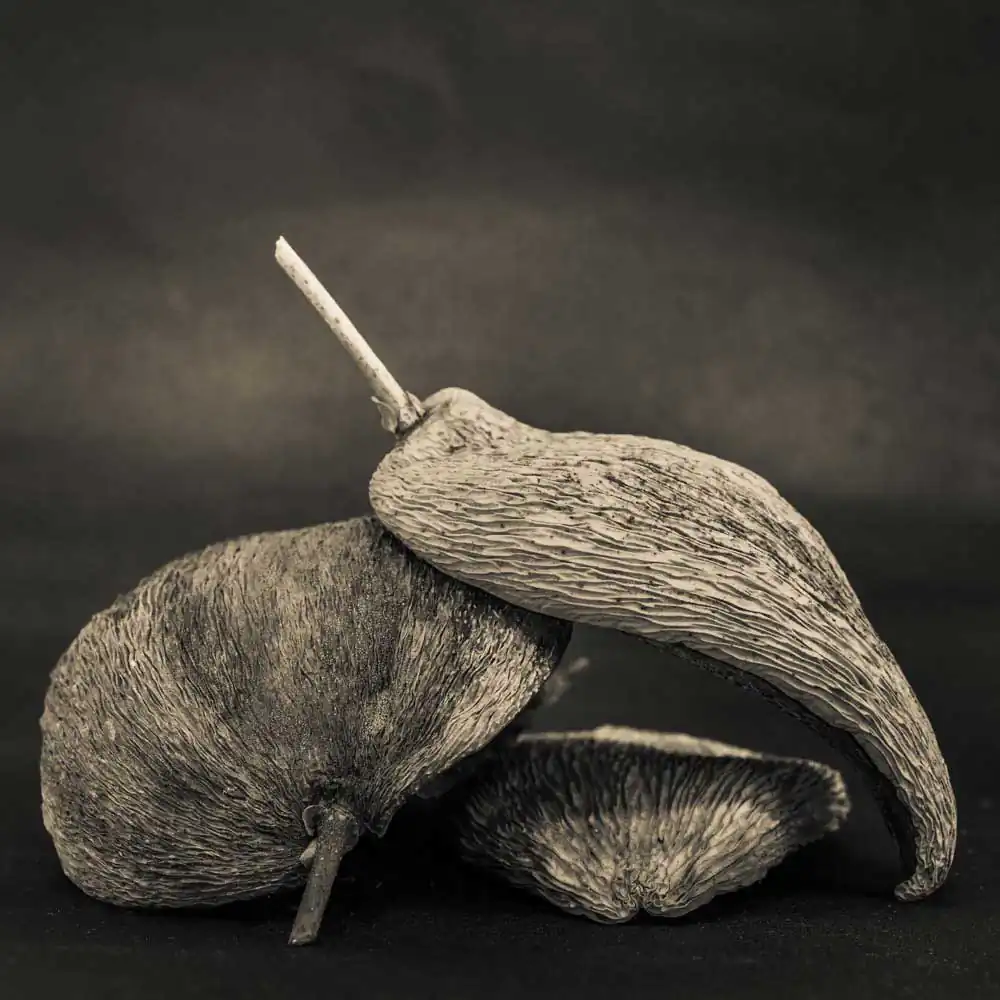 T_Bradley_Protectors20