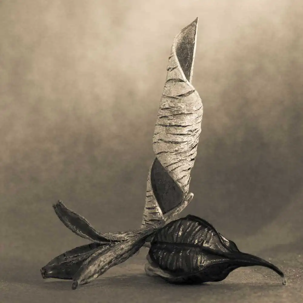 The Protectors of Magical Seeds | Todd Bradley