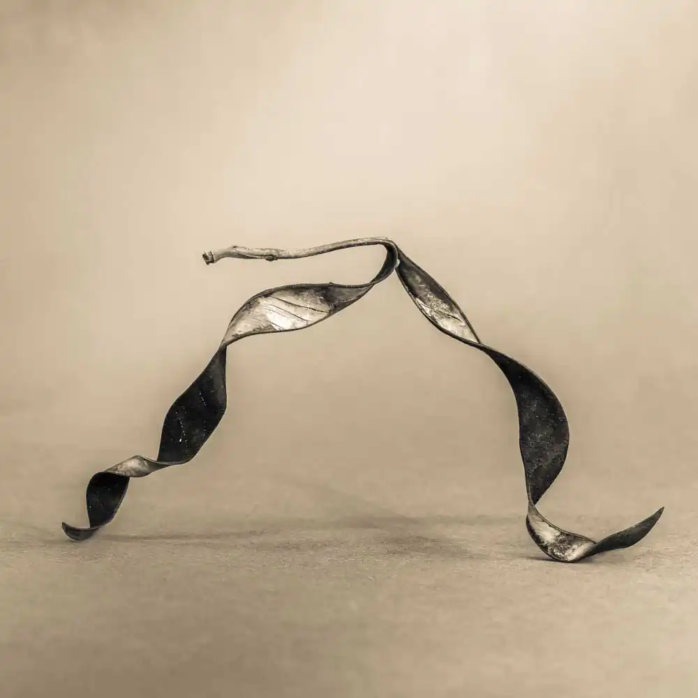 T_Bradley_Protectors6