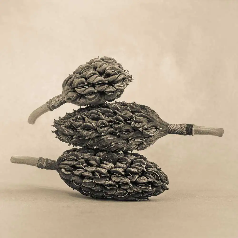 T_Bradley_Protectors7