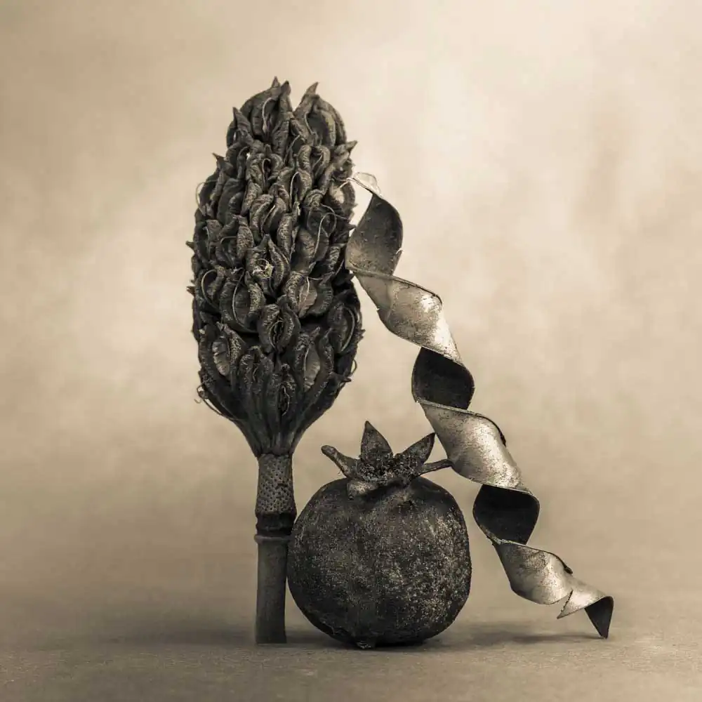 T_Bradley_Protectors8