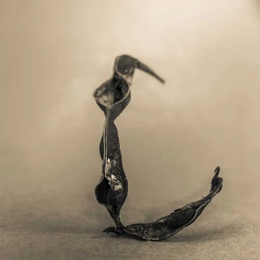 T_Bradley_Protectors9